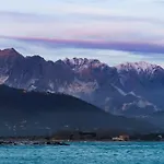 Alveari E Nidi
