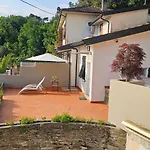 Alveari E Nidi